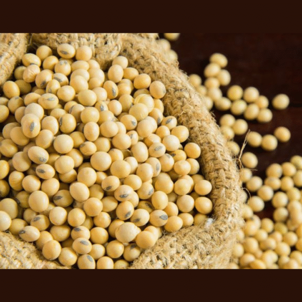 Premium Organic Soyabean | High Protein & Fiber-Rich - Image 3