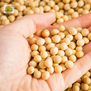 Premium Organic Soyabean | High Protein & Fiber-Rich
