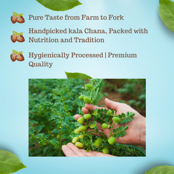 Organic Kala Chana | Unpolished, High Protein, Farm Fresh - Image 3