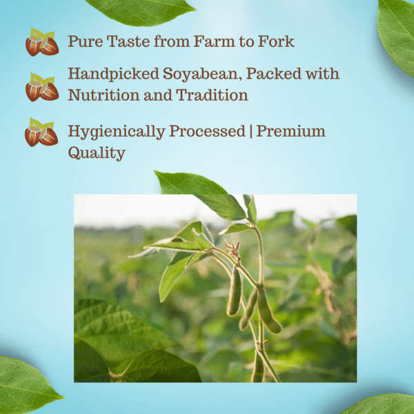Premium Organic Soyabean | High Protein & Fiber-Rich - Image 5